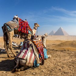 Cheap Flights  to Cairo