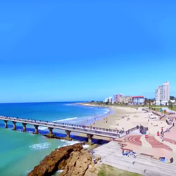 Cheap Flights  to Port elizabeth