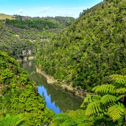 Cheap Flights  to Wanganui