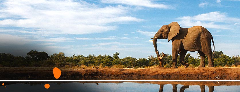 flights to Botswana