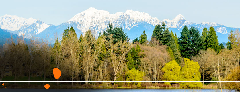 flights to Deer Lake