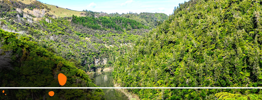 flights to Wanganui